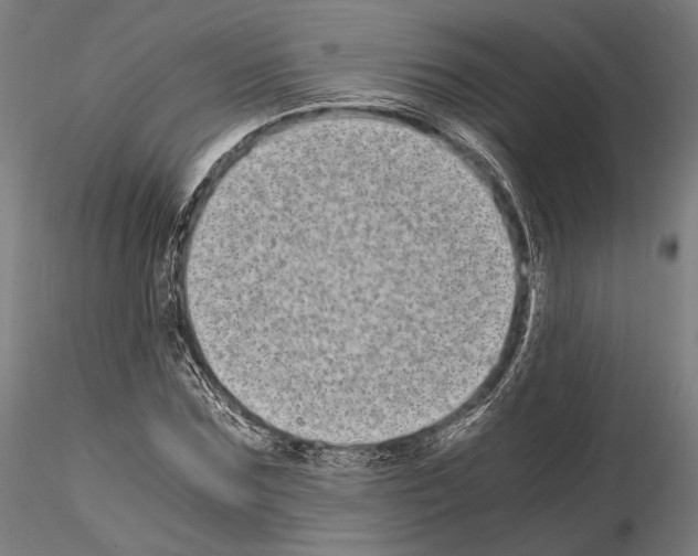 X0000115080875200912081209