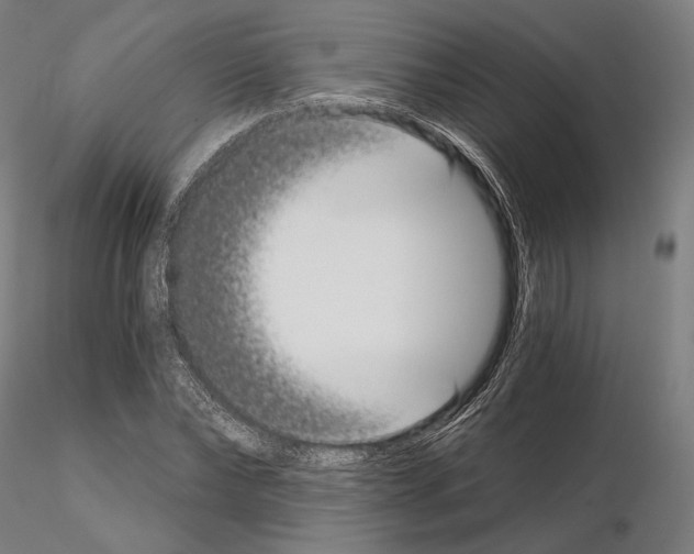 X0000115080878200912081209