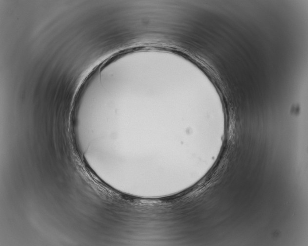 X0000115080880200912081209