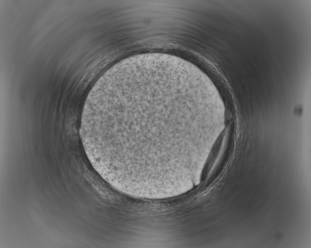 X0000115080881200912081209