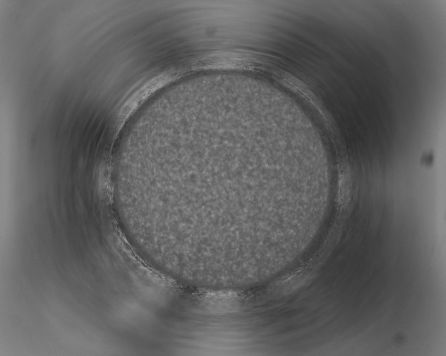 X0000115080882200912081209