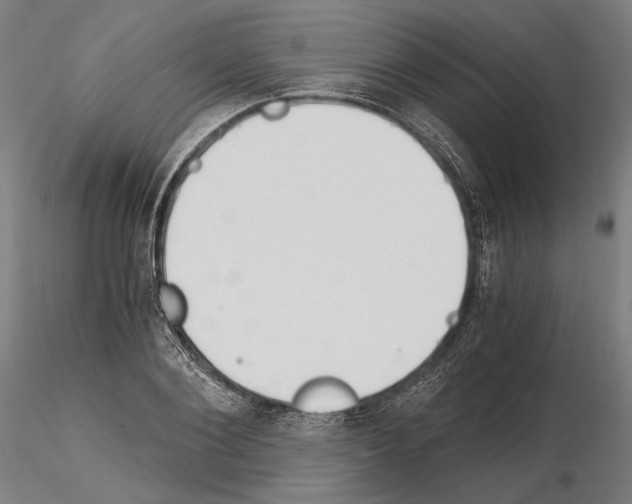 X0000115080884200912081209