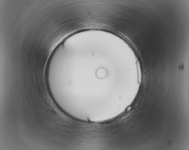 X0000115080885200912081209