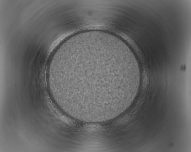 X0000115080886200912081209