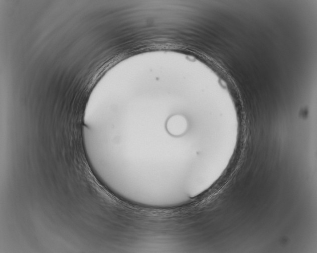 X0000115080889200912081209