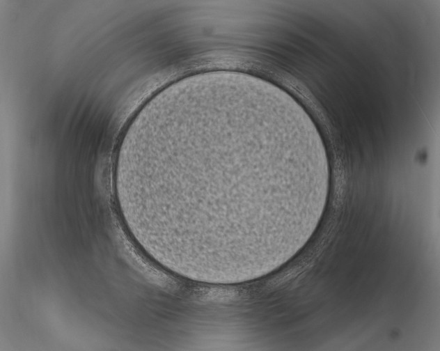 X0000115080890200912081209