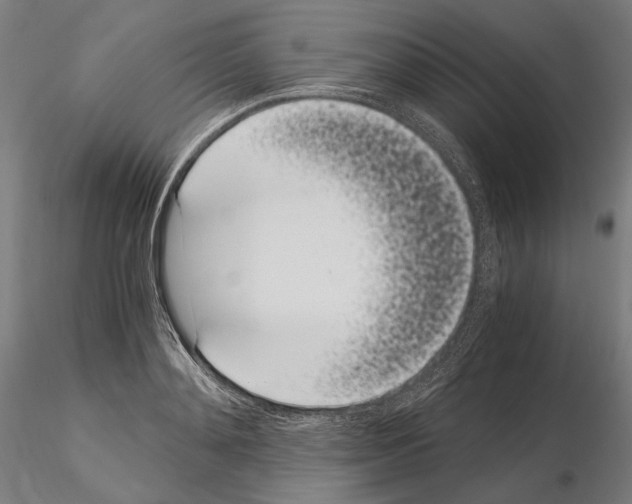 X0000115080892200912081209