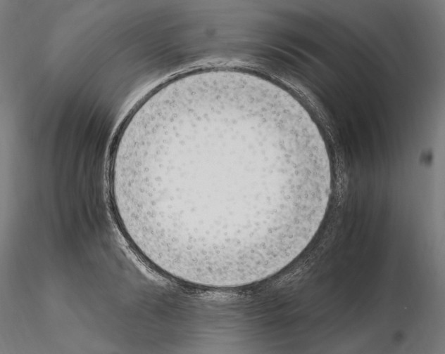 X0000115080894200912081209