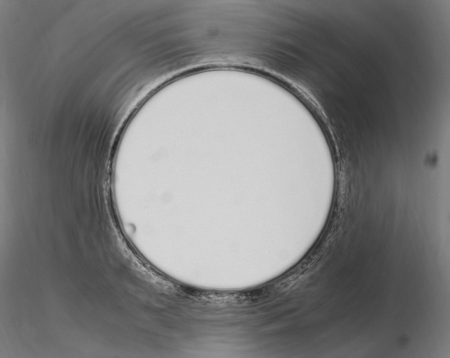 X0000115080895200912081209