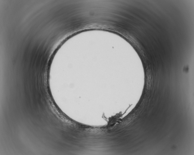 X0000115080896200912081209