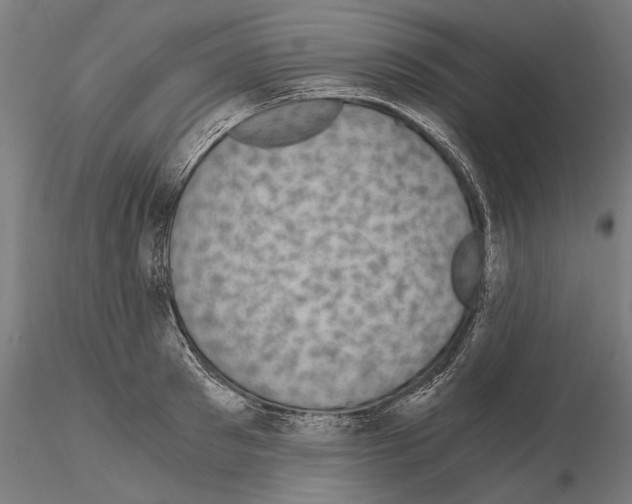 X0000115080897200912081208