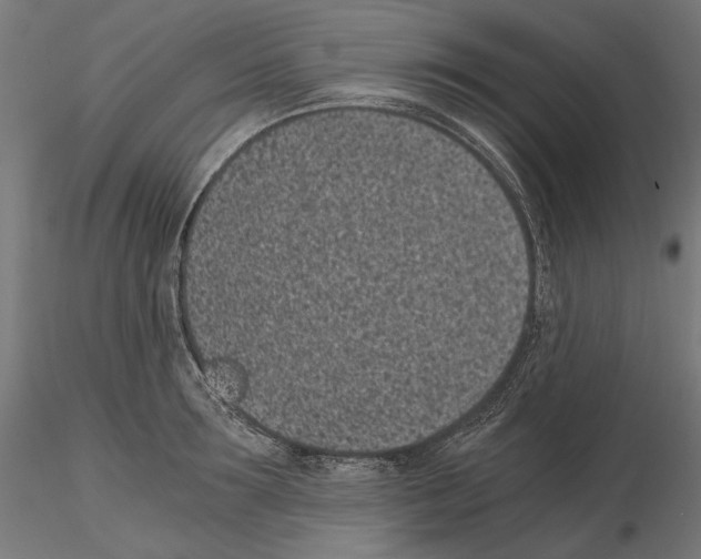 X0000115080899200912081208