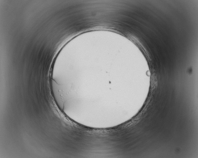 X0000115080900200912081208