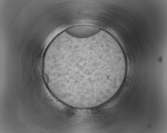 X0000115080901200912081208