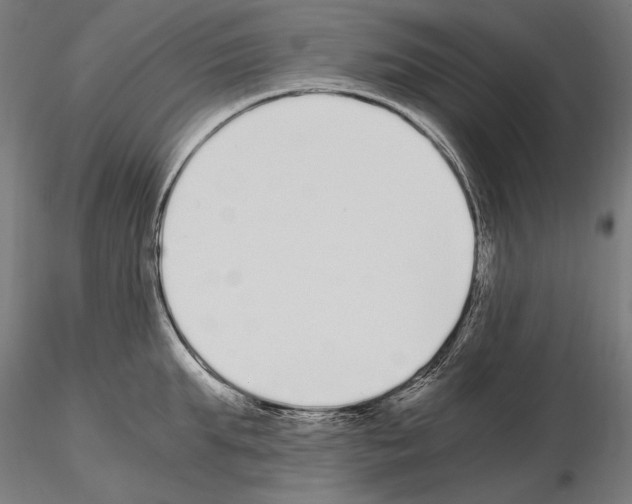 X0000115080903200912081208