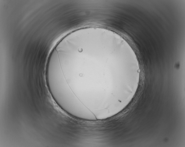 X0000115080904200912081208