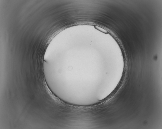 X0000115080905200912081208