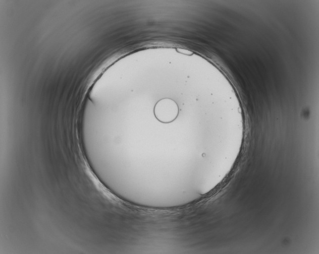 X0000115080909200912081208