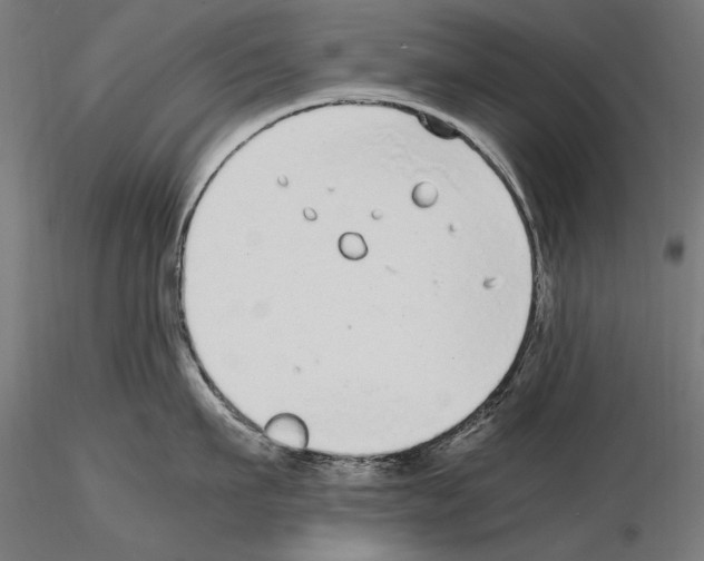 X0000115080911200912081208