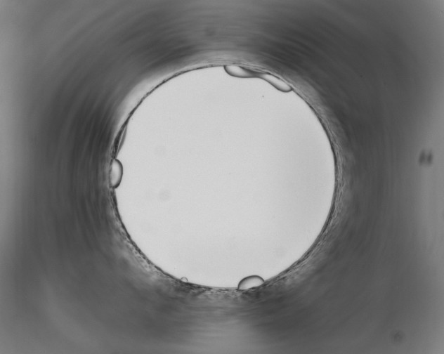 X0000115080912200912081208