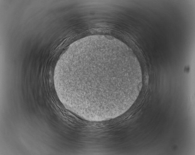 X0000115080915200912081208