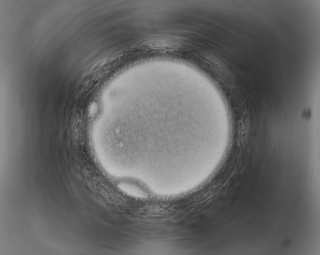 X0000115080917200912081208