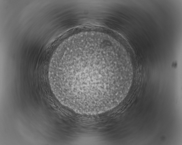 X0000115080919200912081208