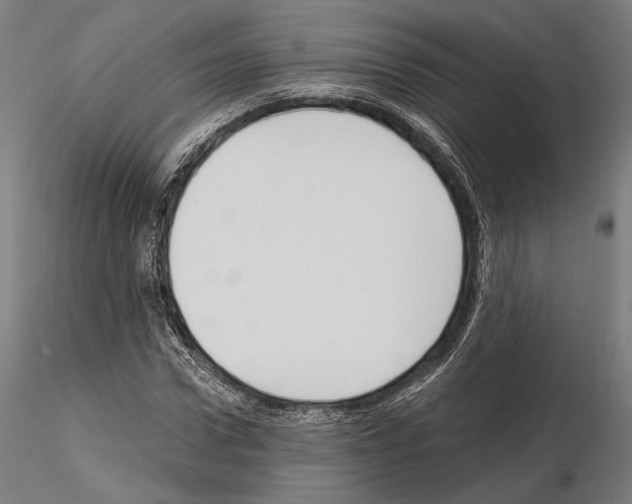 X0000115080922200912081208