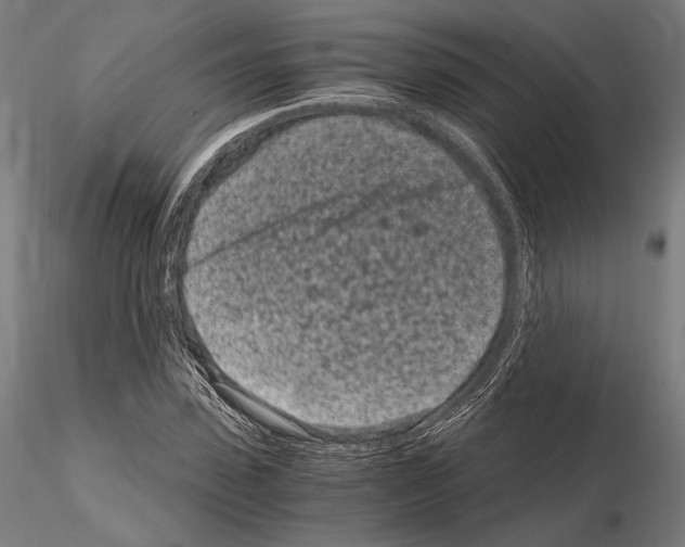 X0000115080923200912081208