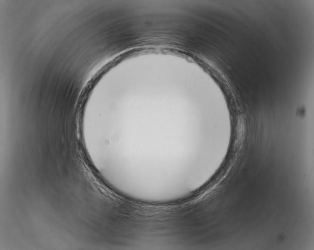 X0000115080925200912081208