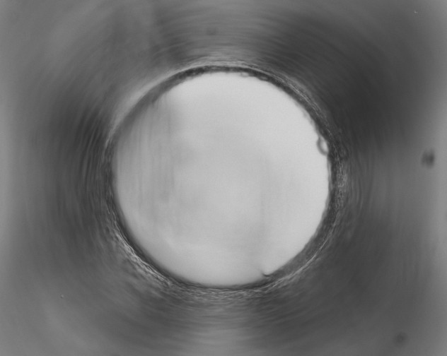 X0000115080926200912081208