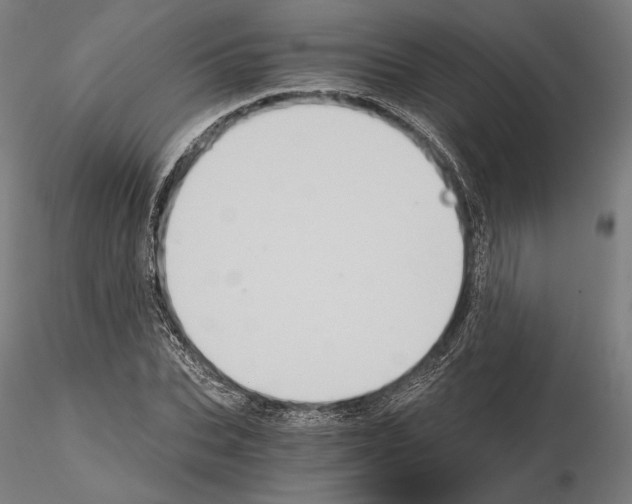 X0000115080927200912081208