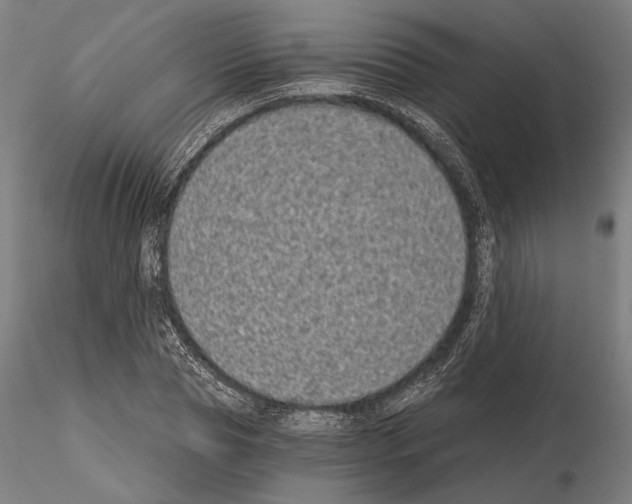 X0000115080929200912081208