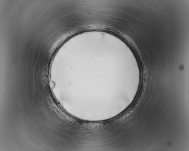 X0000115080930200912081208