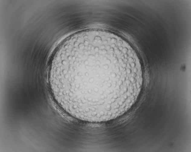 X0000115080931200912081208