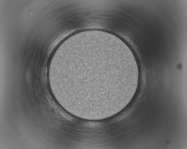 X0000115080933200912081208