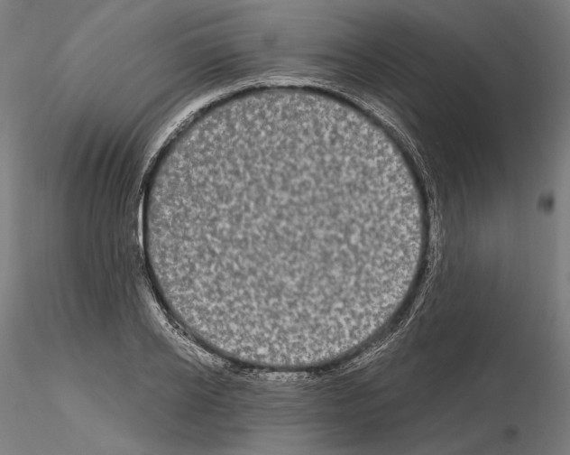 X0000115080934200912081208