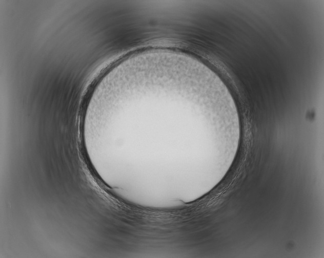 X0000115080935200912081208