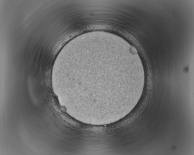 X0000115080937200912081208