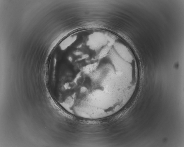 X0000115080941200912081208