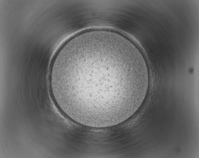 X0000115080943200912081208