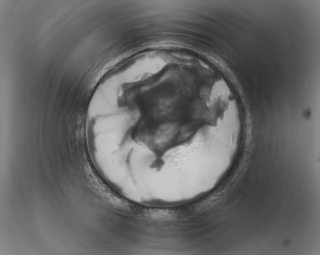 X0000115080945200912081208