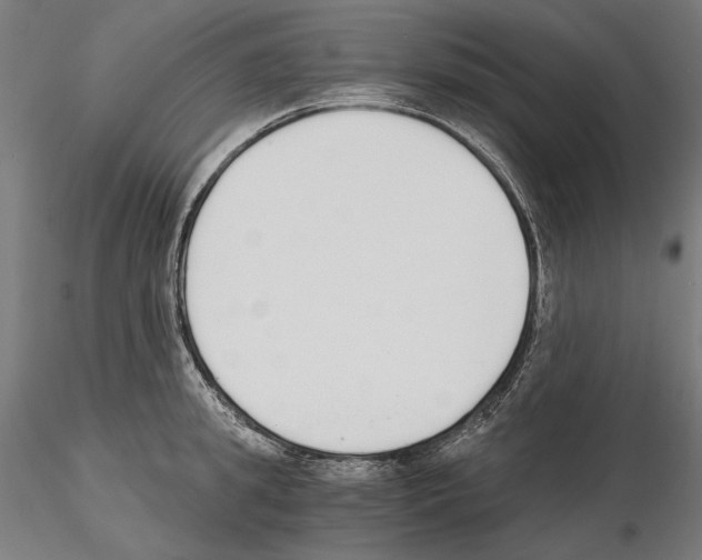 X0000115080949200912081208