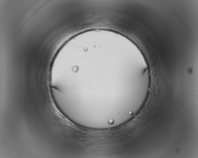 X0000115080950200912081208