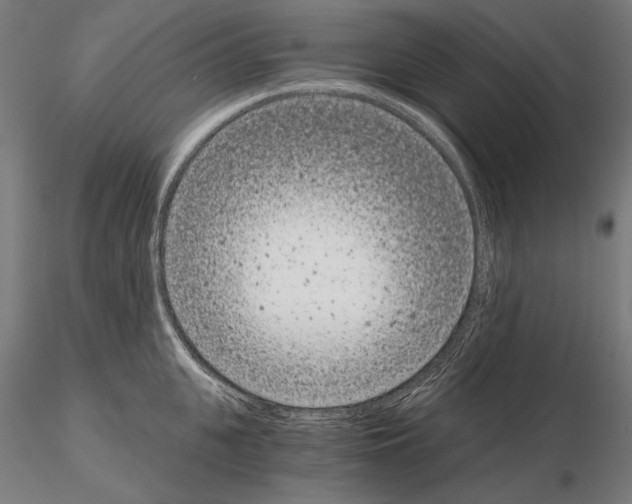 X0000115080951200912081208