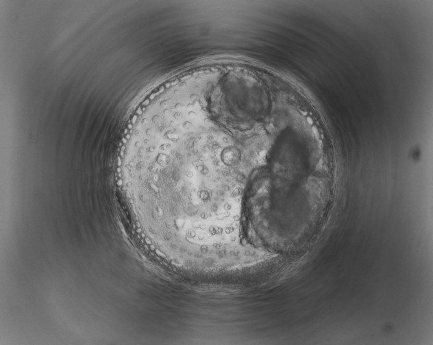 X0000115080953200912081208