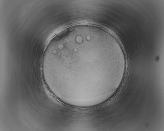 X0000115080954200912081208