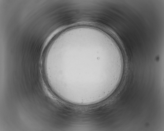 X0000115080955200912081208