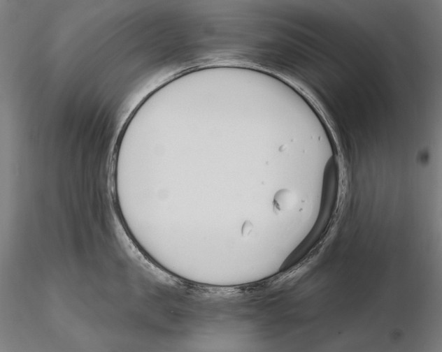 X0000115080957200912081208