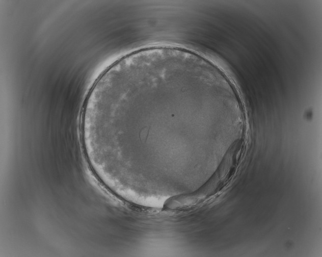 X0000115080958200912081208